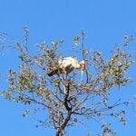 Photo taken by Tom B