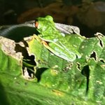 Photo taken by Jim W