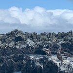 Photo taken by Stephanie A