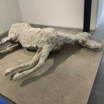 Photo taken by Carole D