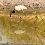Photo taken by Kakoli K