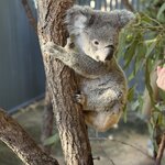 Photo taken by Lilly R