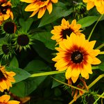 Photo taken by Eric T