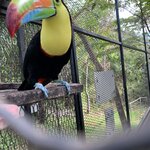 Photo taken by Luke T