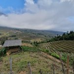 Rice terraces | Photo taken by Zachary M
