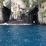 Photo taken by Sandra R