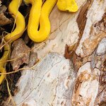 Photo taken by Ram R