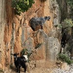 Photo taken by Liz S