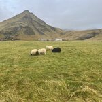 Photo taken by Carrie A