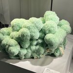 Photo taken by Rosemary S