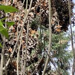 Photo taken by Barbara V