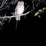 Photo taken by Camille S