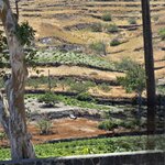 Photo taken by Candi S