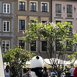 Photo taken by Sylvia S