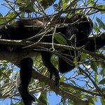 Photo taken by Morton A