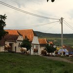 Photo taken by Rob S