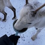 Photo taken by Raylene C