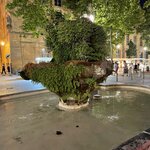 Photo taken by ANNE N