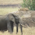 Photo taken by Kristin M