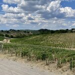 Photo taken by Rosanne W