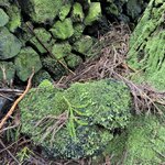 Photo taken by Catherine H