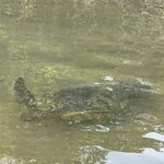 Photo taken by Gary W