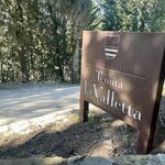 Photo taken by Karen C