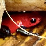 Photo taken by Ben B