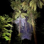 Photo taken by Sharon C