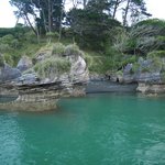 Raglan Harbour rocks | Photo taken by Clare F