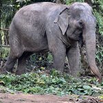 Photo taken by Kim B