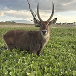 Photo taken by Gabrielle A