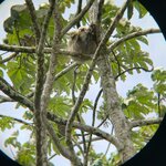 Photo taken by Anna L