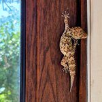 Photo taken by Kaye D