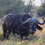 Photo taken by rhonda c