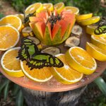 Photo taken by Kelvin V