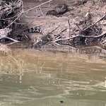 Photo taken by Mohan I