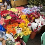 Photo taken by Izabella L