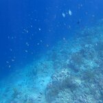 Photo taken by Dixie W