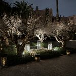 Photo taken by Christine S