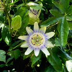 Photo taken by Erin J