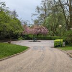 Photo taken by Taylor B