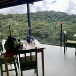 Photo taken by Tracie D