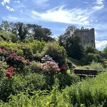 Photo taken by Tina D