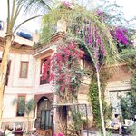 Photo taken by Tara Z