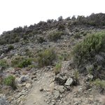 Photo taken by Kristin M