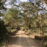 Photo taken by Virginia H