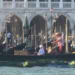 Photo taken by Seth D