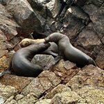 Photo taken by Donna W