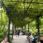 Photo taken by Michelle P